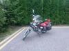 20110811131_t1.jpg