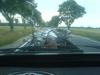 dsc00044_t1.jpg