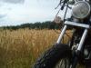 dsc00171_t1.jpg