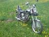 dsc00010_t1.jpg