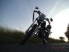 dsc00018_1_t1.jpg