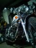 dsc00021_t1.jpg
