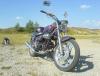 dsc00055_t1.jpg