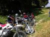 dsc00130_t1.jpg