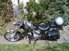 dsc00275_t1.jpg