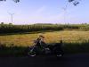 dsc00350_t1.jpg