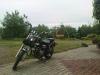 dsc00684_t1.jpg