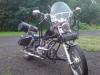 dsc01141_t1.jpg