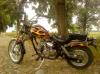 dsc0217444444444_t1.jpg