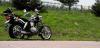 dsc03866-2_t1.jpg
