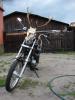dsc04596_t1.jpg