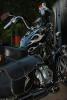 dsc_1236_t1.jpg