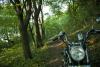 dsc_1274_t1.jpg