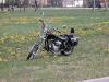 dscn1453_t1.jpg