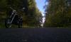 img_20121013_124424_t1.jpg