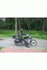 darek_t1.gif