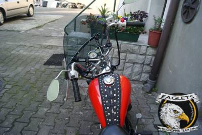 z3.jpg